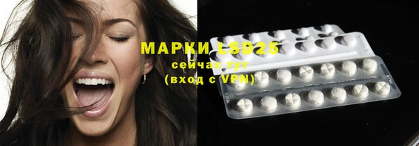 мдпв Горняк