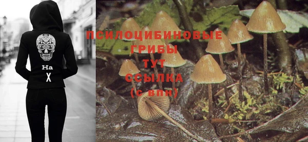 круглые Горно-Алтайск